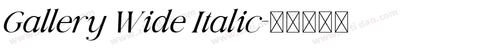 Gallery Wide Italic字体转换